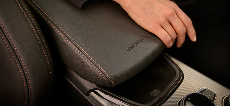 Stelvio Gallery Slider n.6